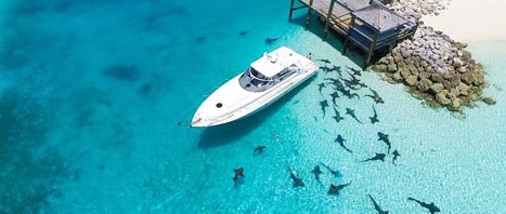 itsbetterinthebahamas