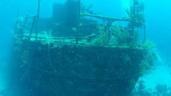 Private 2 Tank Dive - Wreck & Reef - ALL INCLUSIVE