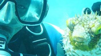 Private 2 Tank Dive - Blue Hole & Barracuda Reef - ALL INCLUSIVE