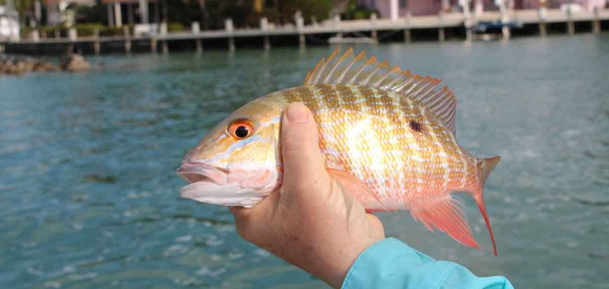 Fishing in the Bahamian Waters