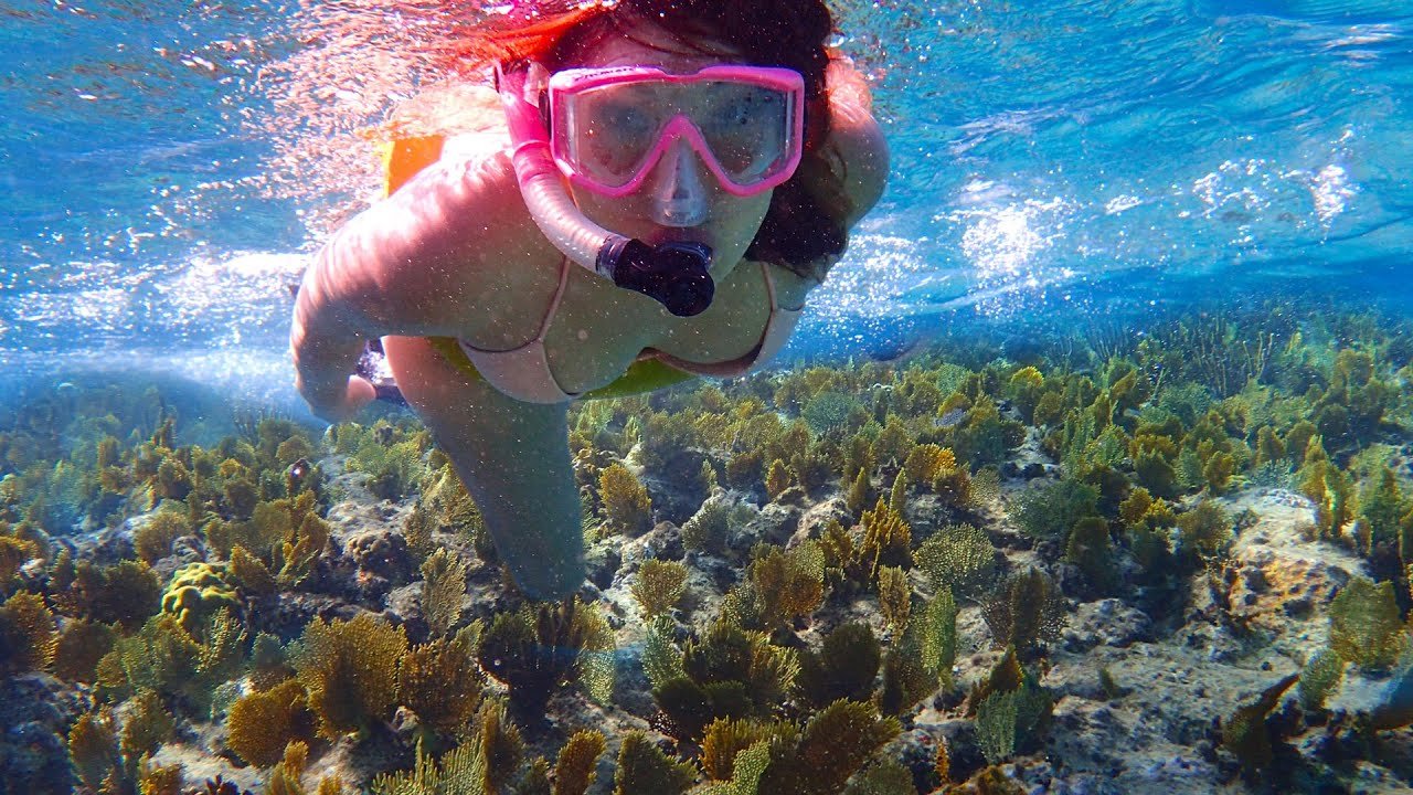 Snorkel Amongst the Reefs